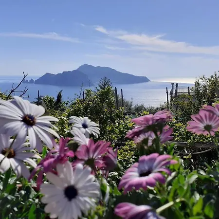 Emidio House * Termini